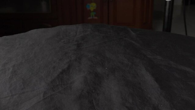 Srikaya fruit, also known as sweet apple, appearing and disappearing