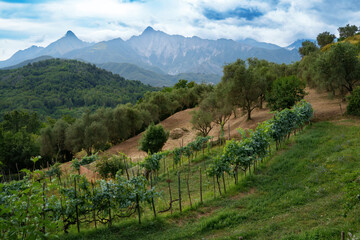 Mountain landscape near Casola in Lunigiana, Tuscany, Italy - 792768728