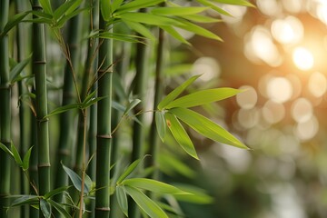 Fototapeta na wymiar Close Up of Bamboo Plant With Sun in Background. Generative AI