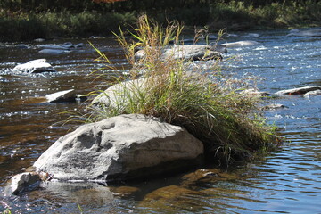 Beaux rochers avec de l'herbe au centre de la rivière