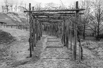 A tunnel made of wooden sticks over an old stone path. Black and white photo