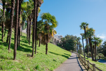 palm gardens in pau in the southwest of france