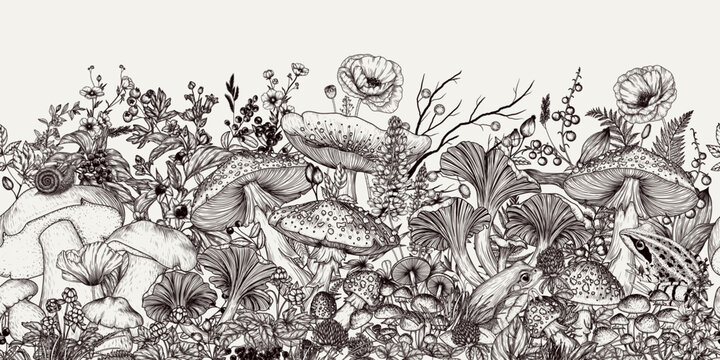 Seamless vector horizontal pattern of mushroom forest in engraving style. Fly agaric, porcini mushroom, chanterelles, honey mushrooms, forest plants, flowers