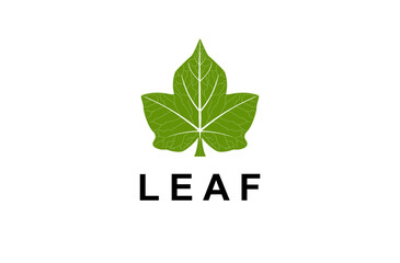 Leaf green nature organic, decoration logo design vector