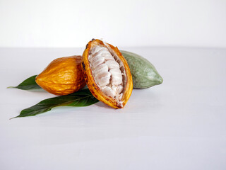 Half sliced ripe yellow cacao pod with white cocoa seed ,Cut in half fresh ripe cacao and green raw...