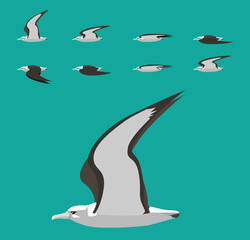 Albatross Bird Flying Animation Sequence Cartoon Vector Illustration