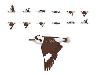 Bird Animation Kookaburra Flying Cute Cartoon Vector Illustration