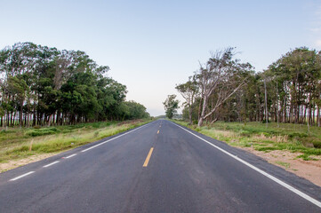 Obraz premium road in the countryside