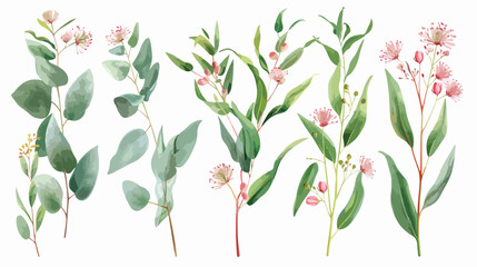 Blooming eucalyptus hand drawn vector illustration se - obrazy, fototapety, plakaty