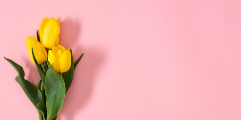 Festive pink background with yellow tulips. Bouquet of yellow tulip flowers on pink table background. Top view, flat lay.