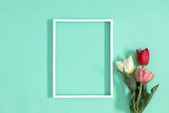 Top view of empty white frame and bouquet of beautiful tulips on mint background. Top view, flat lay.