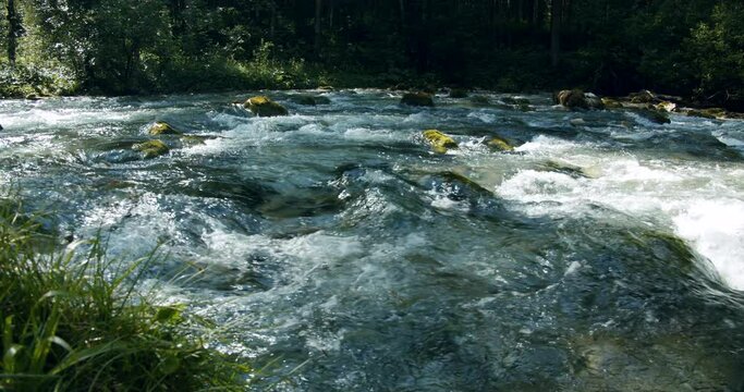 waldbachstrub river in austria near hallstatt SBV 338643025 4K 
