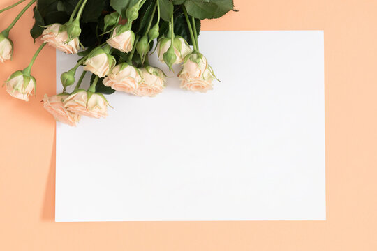 Blank white paper, bouquet of light beautiful cream roses on a pastel beige background. Festive flower composition. Top view, flat lay.