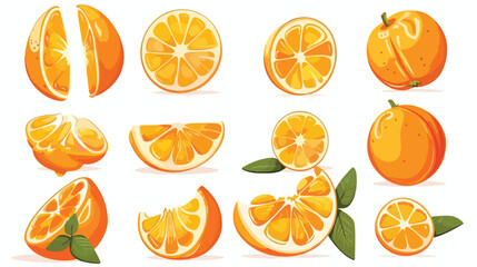 Cartoon Illustration Style Orange Fruit Cut Slice Han