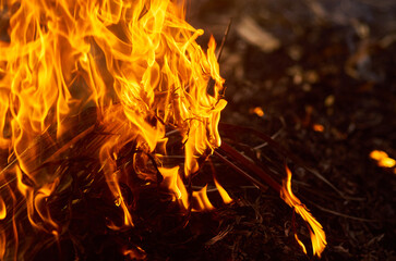 Flames of fire with smoke on a black background