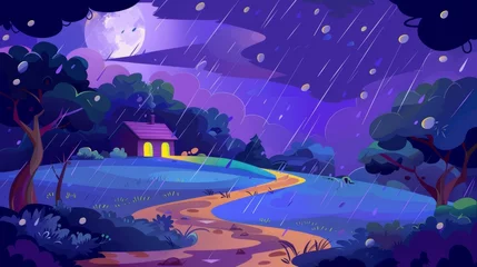 Rainy night landscape with forest and village house. Countryside cottage, garden with trees and bushes, sandy road under raindrops, modern illustration. © Mark