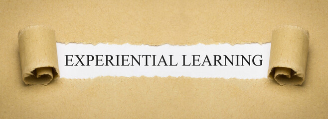 Experiential Learning - obrazy, fototapety, plakaty