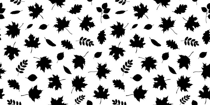 Seamless pattern with maple leaves silhouettes on white background
