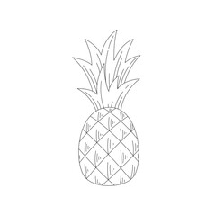 Hand drawn doodle sketch of a pineapple. Coloring page with a citrus fruit. Line art vector illustration on a white background