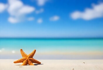 Fototapeta na wymiar A starfish on a sandy beach with clear turquoise water and a bright blue sky in the background