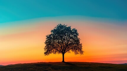 A solitary tree standing against the backdrop of a colorful sunset, symbolizing the resilience and endurance found in solitude.