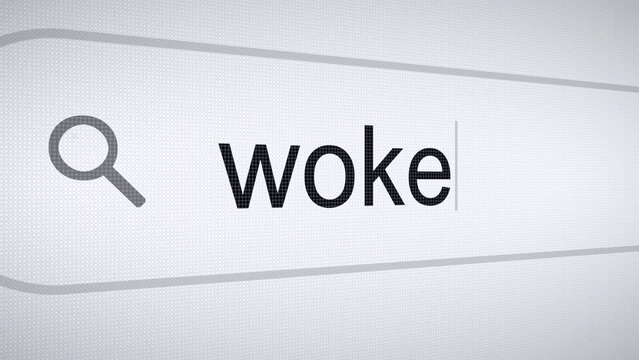Searching Woke on the Internet, Computer Screen Macro