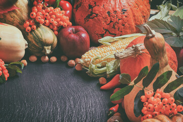 Autumn agricultural still life with fruits and vegetables. Harvest festival holiday concept with...