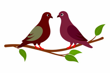 pigeon birds couple face to face vector artwork illustration 