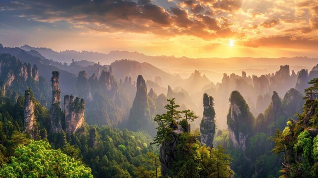 Panoramic Sunset in National Forest Park, Hunan Province: Quartzite Pillars and Peaks Amid Lush Greenery and Mountains