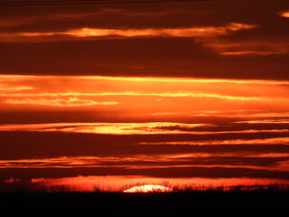 sunset in the rural landscape inVojvodina