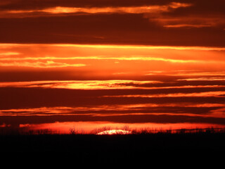 sunset in the rural landscape inVojvodina