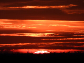 sunset in the rural landscape in Vojvodina