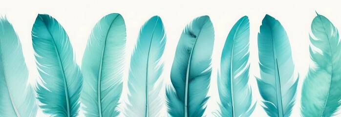 horizontal arrangement of turquoise feathers against light background, watercolor illustration. concepts: calmness, grace, beauty, elegance, serenity, wellness and spa websites or brochures.