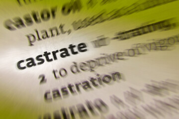Castrate - Castration. Any action, surgical, chemical, or otherwise, by which a male loses use of the testicles.