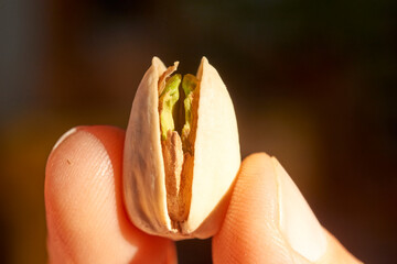 An adult woman’s hand is captured in a moment of simplicity, holding a single pistachio between...