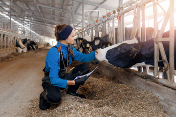 Happy young woman veterinarian control condition of milk cow with clipboard. Concept vet worker of...