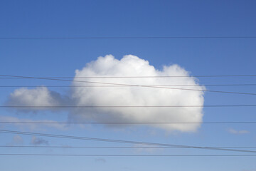 white cloud on the blue sky behind the black electricity wires