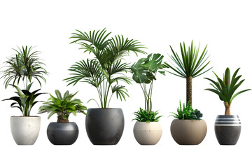  sequence of houseplants in pots, varying in size and type, presented with a transparent background for interior desig