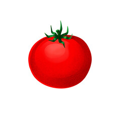 Tomato on transparent background