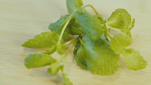 Woman's hand placing fresh lemon balm on a wooden table. Melissa officinalis. Natural herb, healthy diet. Close up. Indoor. Studio lighting. High quality 4k footage