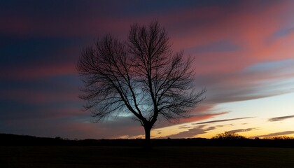 Fototapeta na wymiar Twilight's Embrace: Solitary Tree in Radiant Purple and Pink Sky