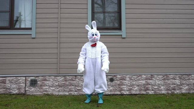 White dancing rabbit. Man in a bunny suit.