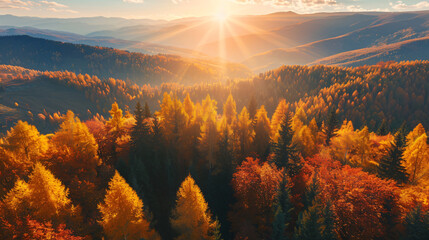 Autumn trees with yellow leaves in the mountains at sunset - Powered by Adobe