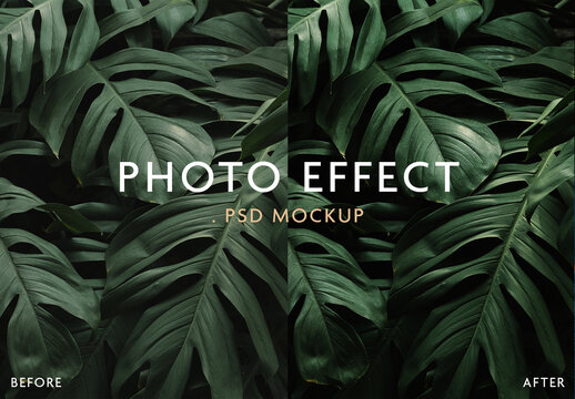 Adjustment Photo Effect Mockup