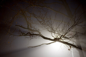 Scattered white street light at night, thick fog
