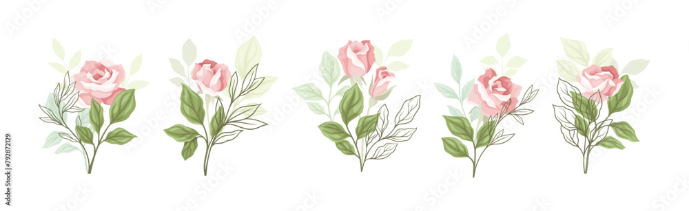 Canvas Prints beautiful pink rose blossom on stem with green leaf as garden flora vector set