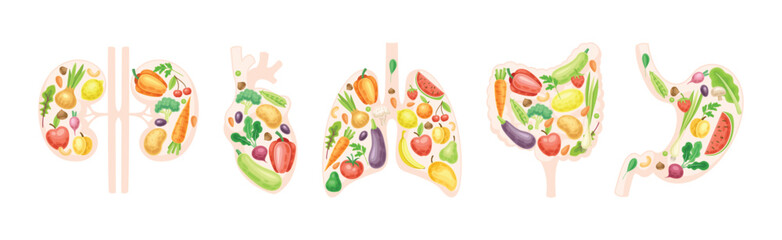 Healthy Human Internal Organs with Fruit and Vegetables Vector Set