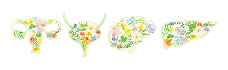Healthy Human Internal Organs with Blooming Flower Vector Set