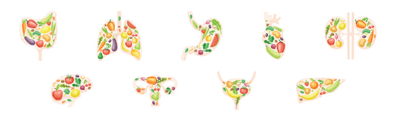 Healthy Human Internal Organs with Fruit and Vegetables Vector Set