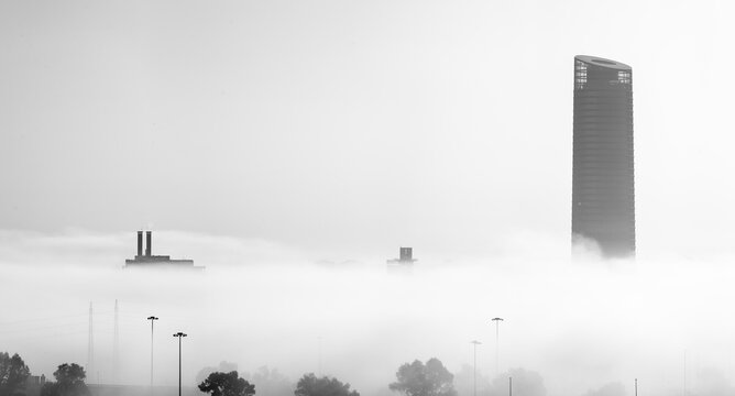 foggy morning in the city of Seville